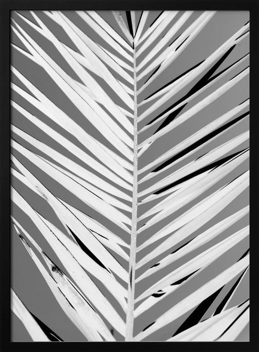 Pattern - Poster / Art Print