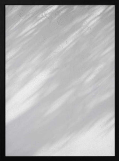Diagonal leaf shadows cast on a white textured wall, creating a minimalist black and white art piece.