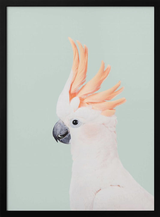 Cockatoo on Mint - Poster / Art Print