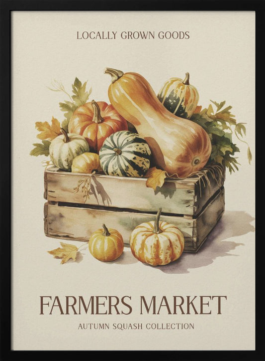Farmers Market Squash - Poster / Art Print
