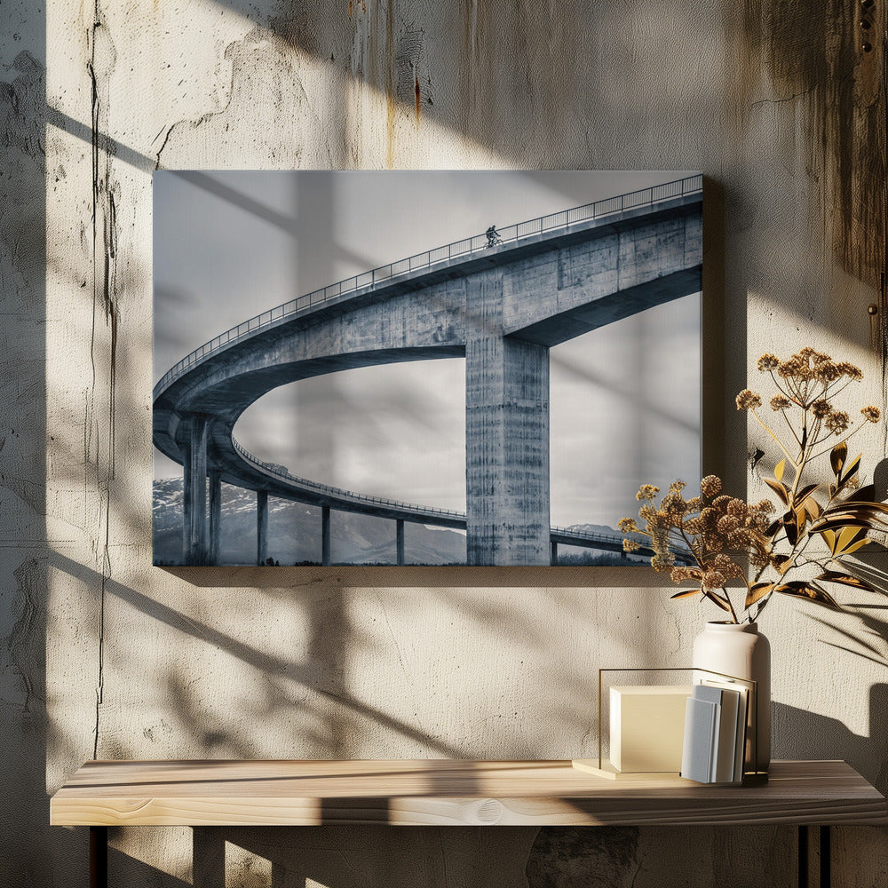 the lonely biker - Poster / Art Print