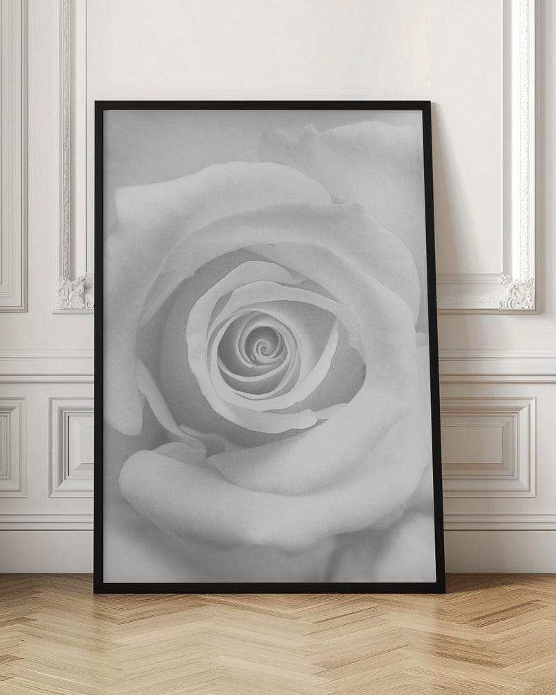 The Rose - Poster / Art Print