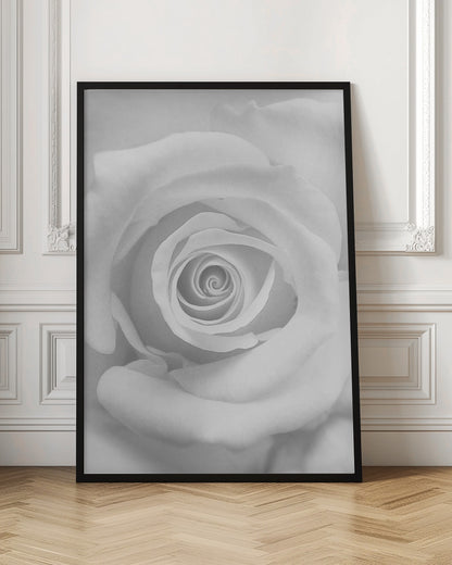 The Rose - Poster / Art Print
