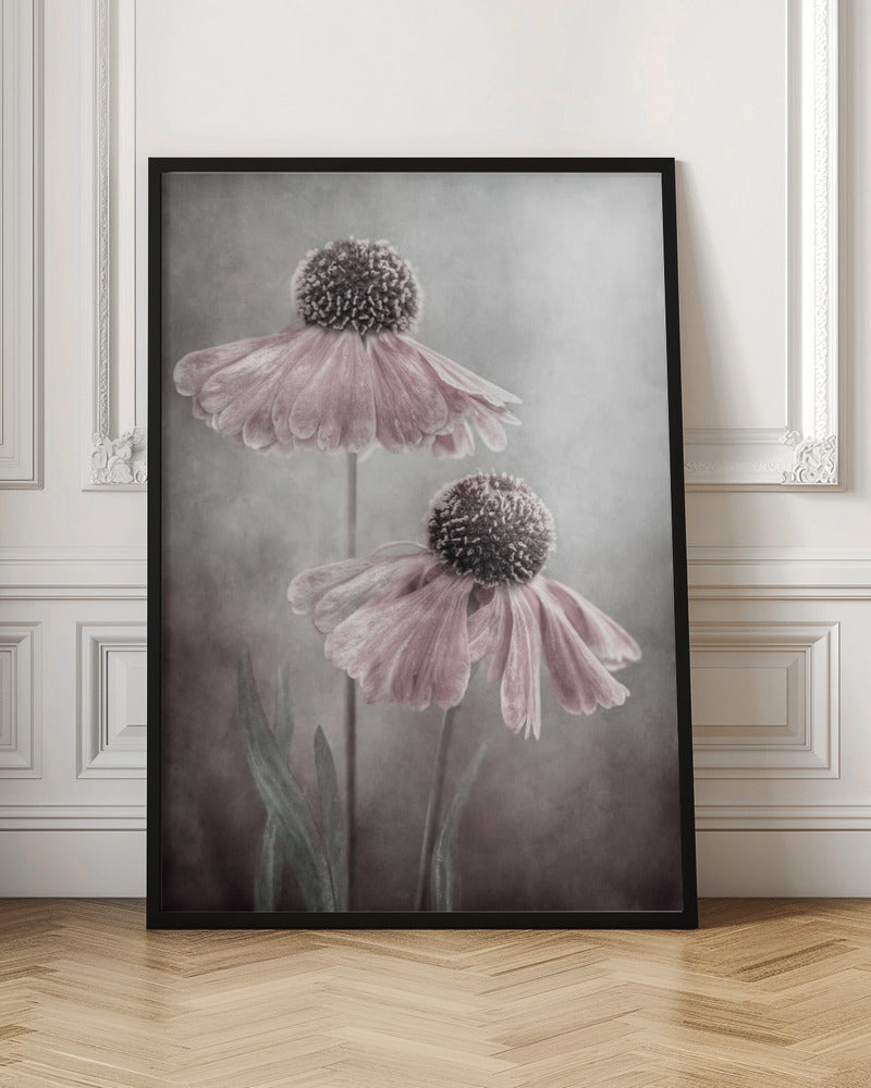 Duet - Poster / Art Print