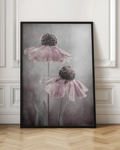 Duet - Poster / Art Print