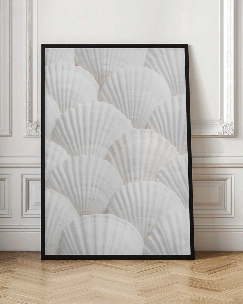 Shells_3 - Poster / Art Print