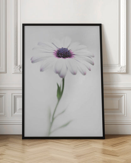 In my garden_3 - Poster / Art Print