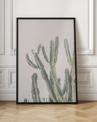 Sunrise Cactus - Poster / Art Print