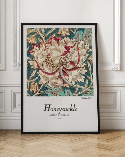 Honeysuckle - Poster / Art Print