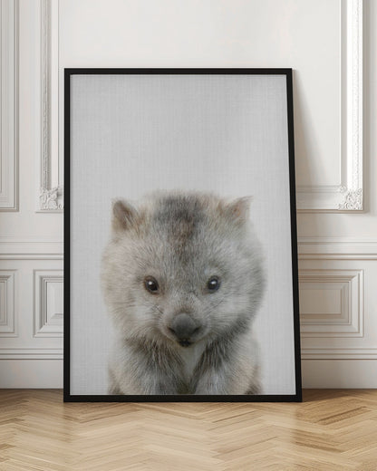 Peekaboo Baby Wombat - Poster / Art Print