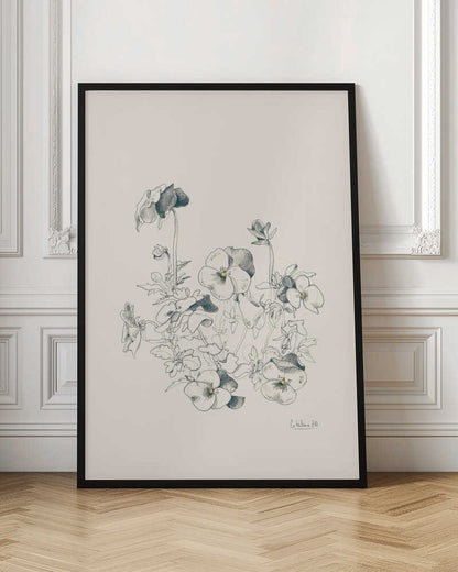 Pansies pencil drawing - Poster / Art Print