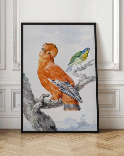 Two Exotic Birds - Poster / Art Print