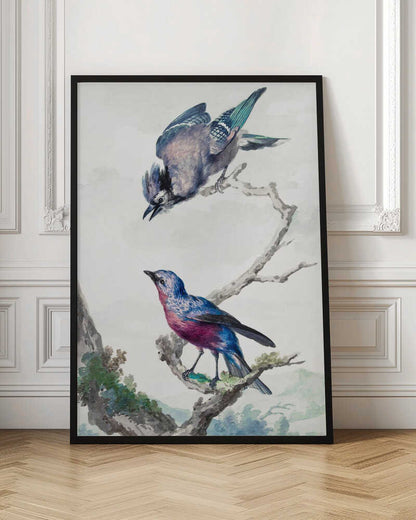 Two Birds  a Blue Jay and a Purple Breasted Cotinga - Poster / Art Print