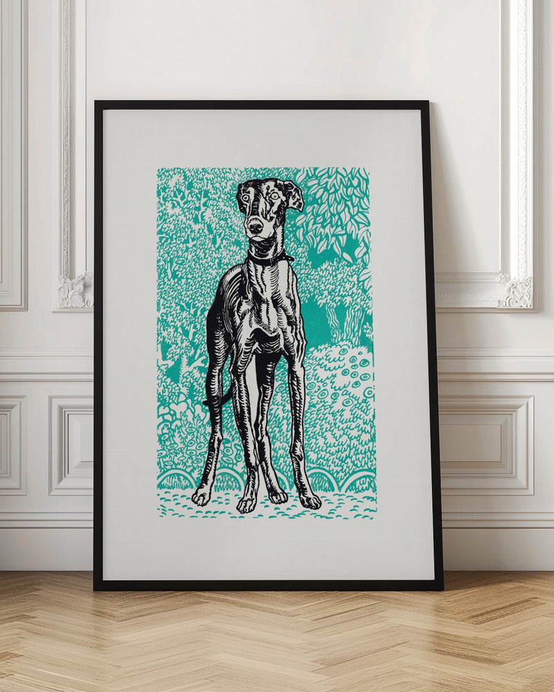 Greyhound - Poster / Art Print