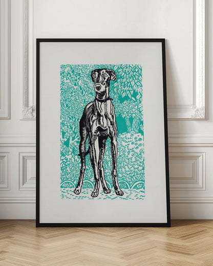 Greyhound - Poster / Art Print