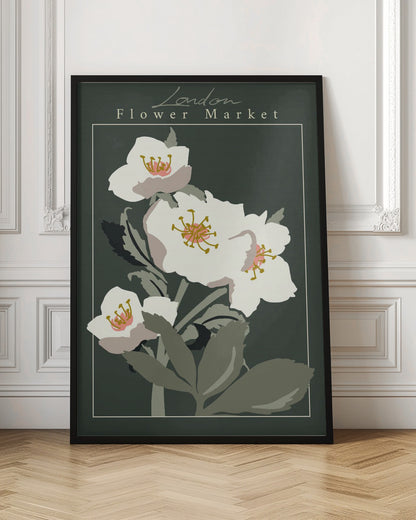 Flower Market London Hellebore - Poster / Art Print