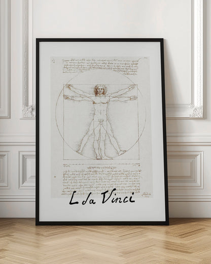 Vitruvian Man Signature - Poster / Art Print