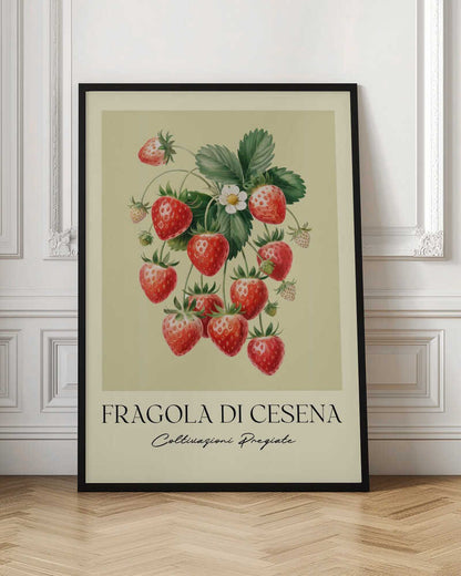 Fragola Di Cesena - Poster / Art Print