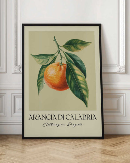 Arancia Di Calabria - Poster / Art Print
