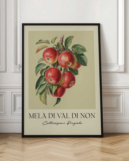 Mela Di Val Di Non - Poster / Art Print