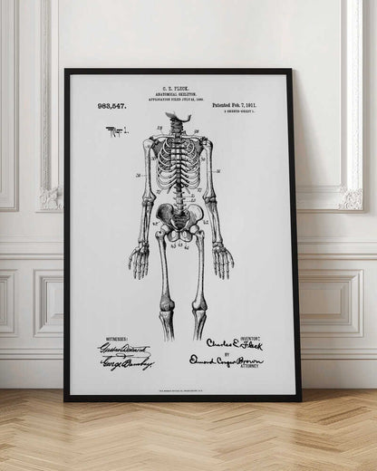 Anatomical Skeleton Patent 1911 - Poster / Art Print