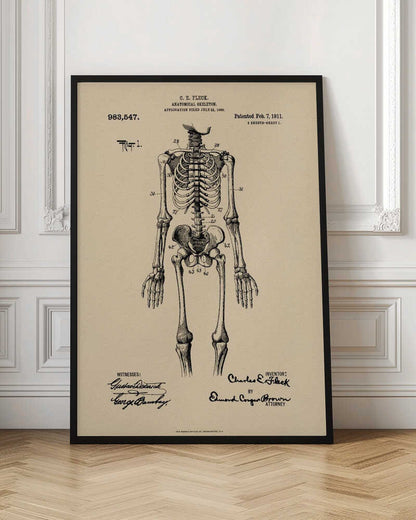 Anatomical Skeleton Patent 1911 - Poster / Art Print
