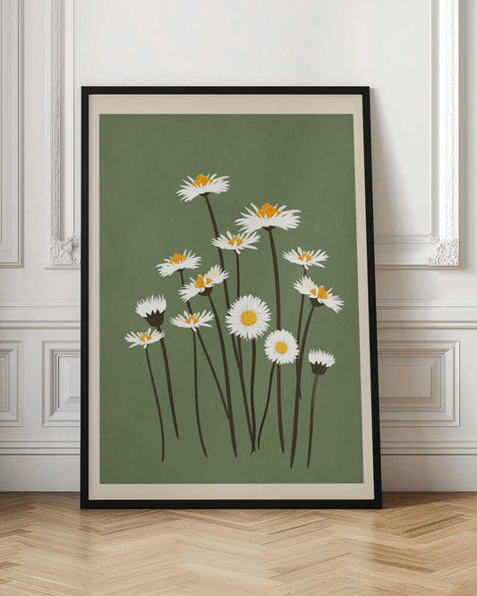 Botanical illustration of white daisy flowers with yellow centers against a sage green background.