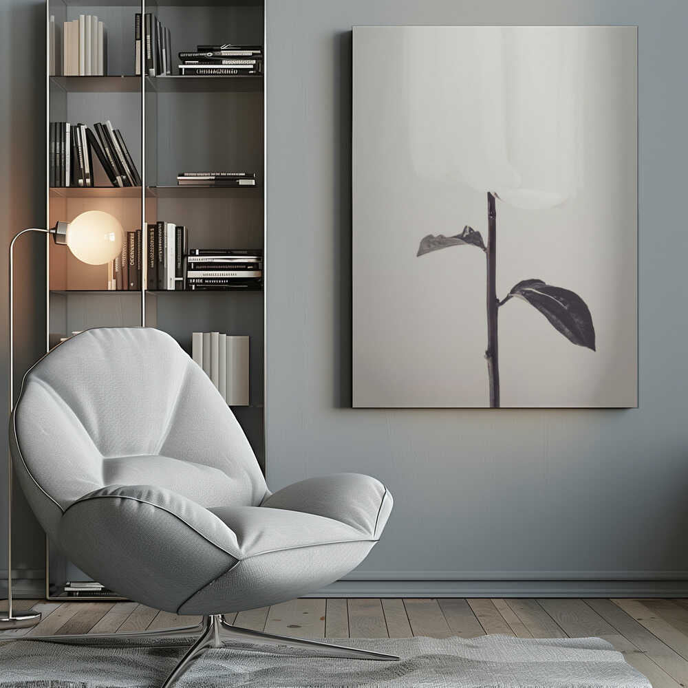 Peony 18 - Poster / Art Print