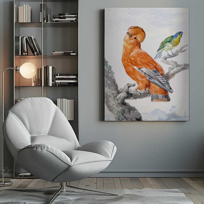 Two Exotic Birds - Poster / Art Print