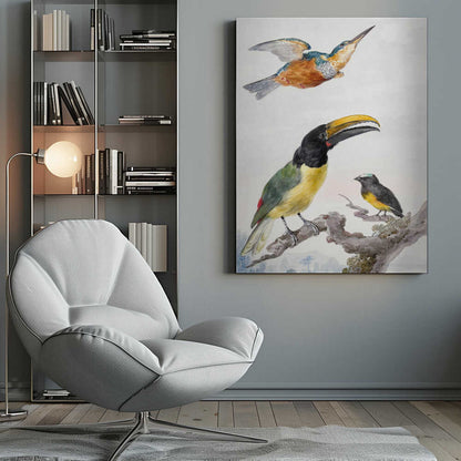 Three Birds  a Kingfisher, a Prince Von Wied's Toucan and an Sparrow - Poster / Art Print
