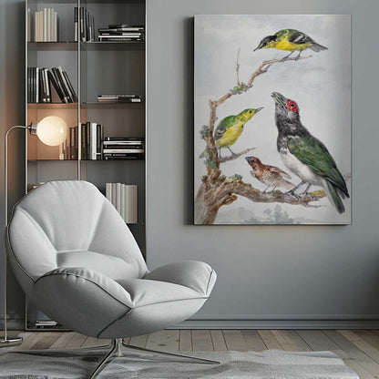 Four Different Birds On a Branch - Poster / Art Print