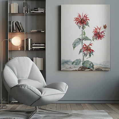 A Red Bergamot In a Landscape - Poster / Art Print