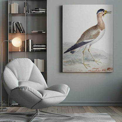 A Yellow Wattled Lapwing - Poster / Art Print