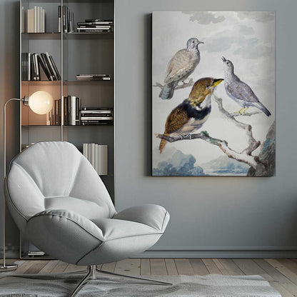 Three Birds, Two Inca Pigeons and a Collared Bearded Cuckoo - Poster / Art Print