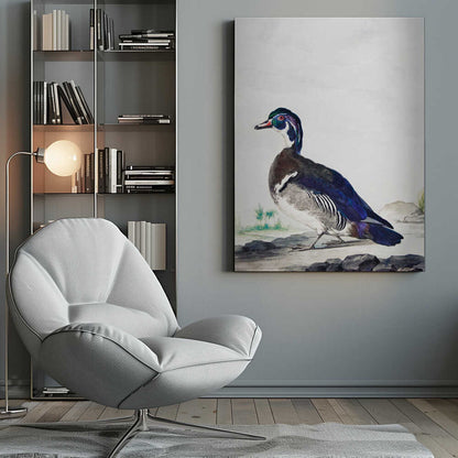 A Duck - Poster / Art Print
