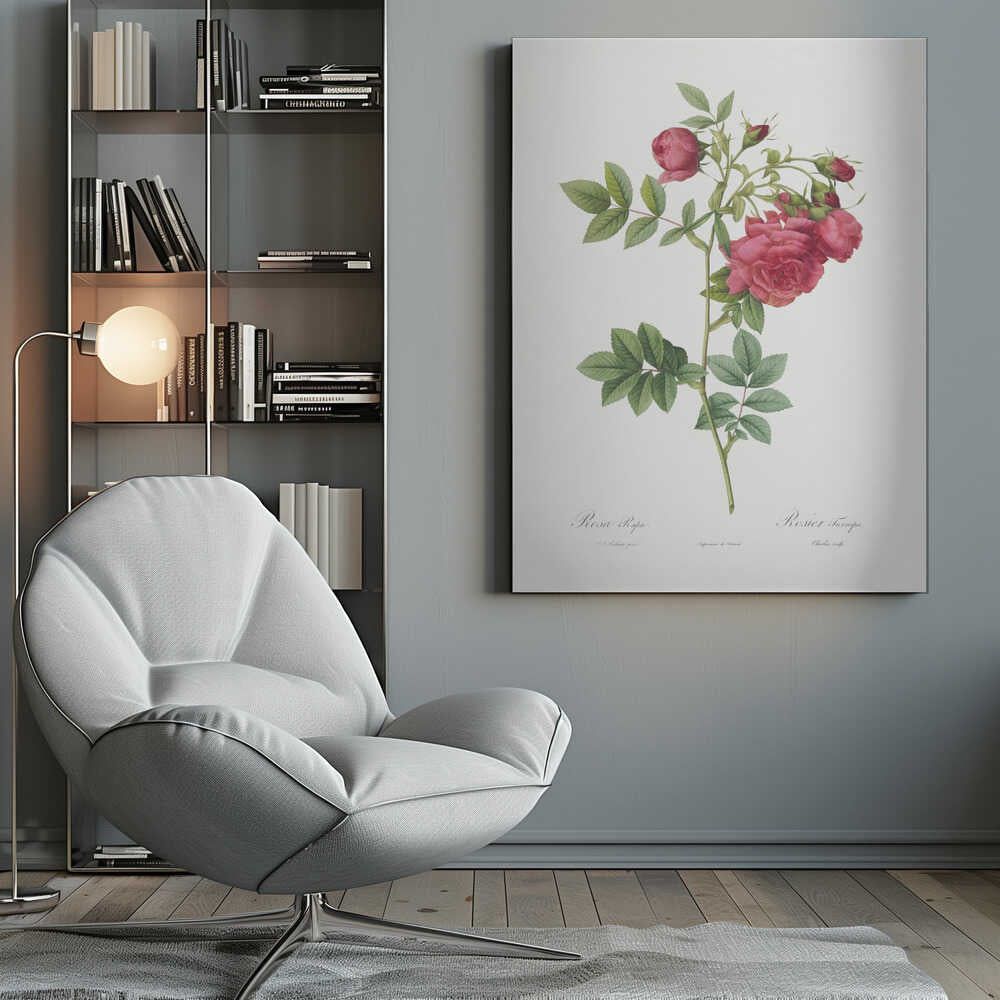 Turnip Roses, Les Roses (1817–1824) - Poster / Art Print