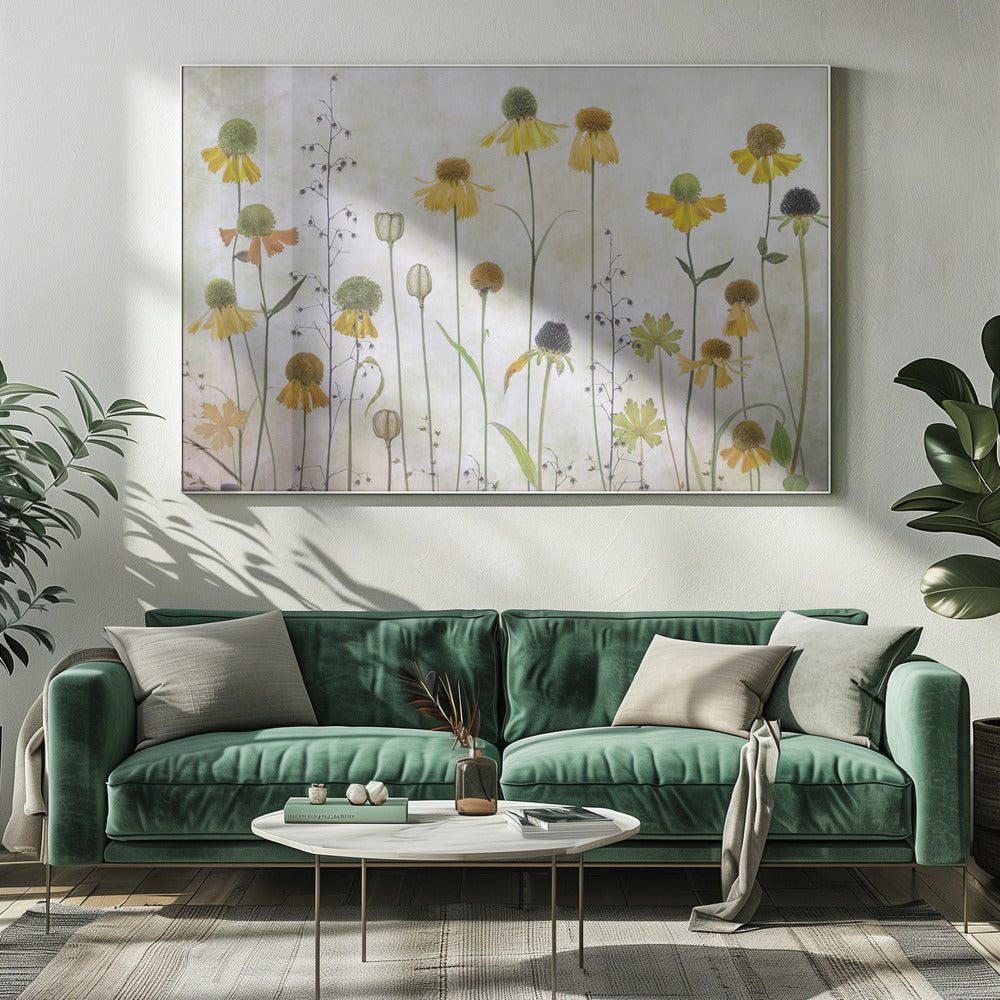 Helenium - Poster / Art Print