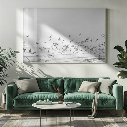 Seagulls - Coastal black and white - Poster / Art Print