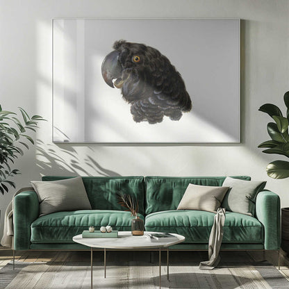 Cockatoo - Poster / Art Print