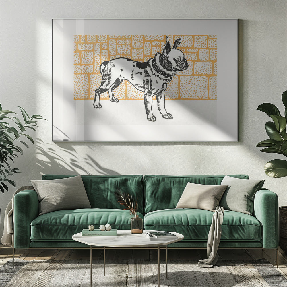 Pitbull Terrier - Poster / Art Print