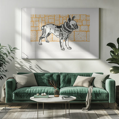 Pitbull Terrier - Poster / Art Print