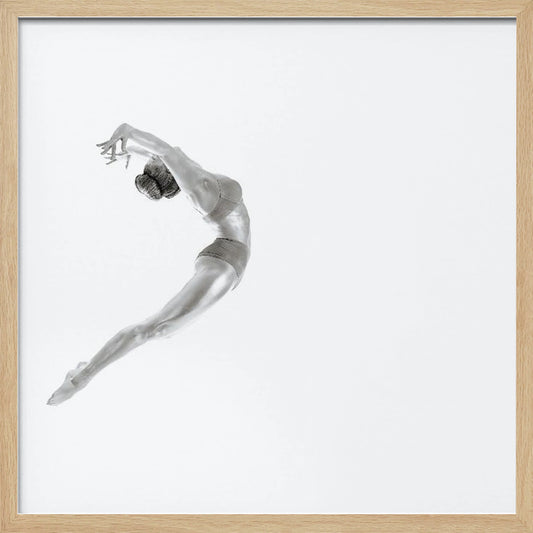Flight - Gymnastics Series - Poster / Art Print