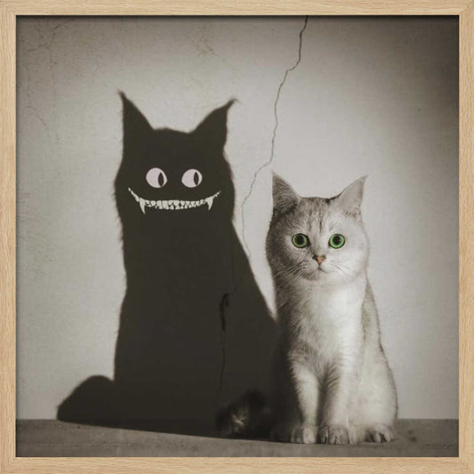 The Shadow Smiles to You - Poster / Art Print