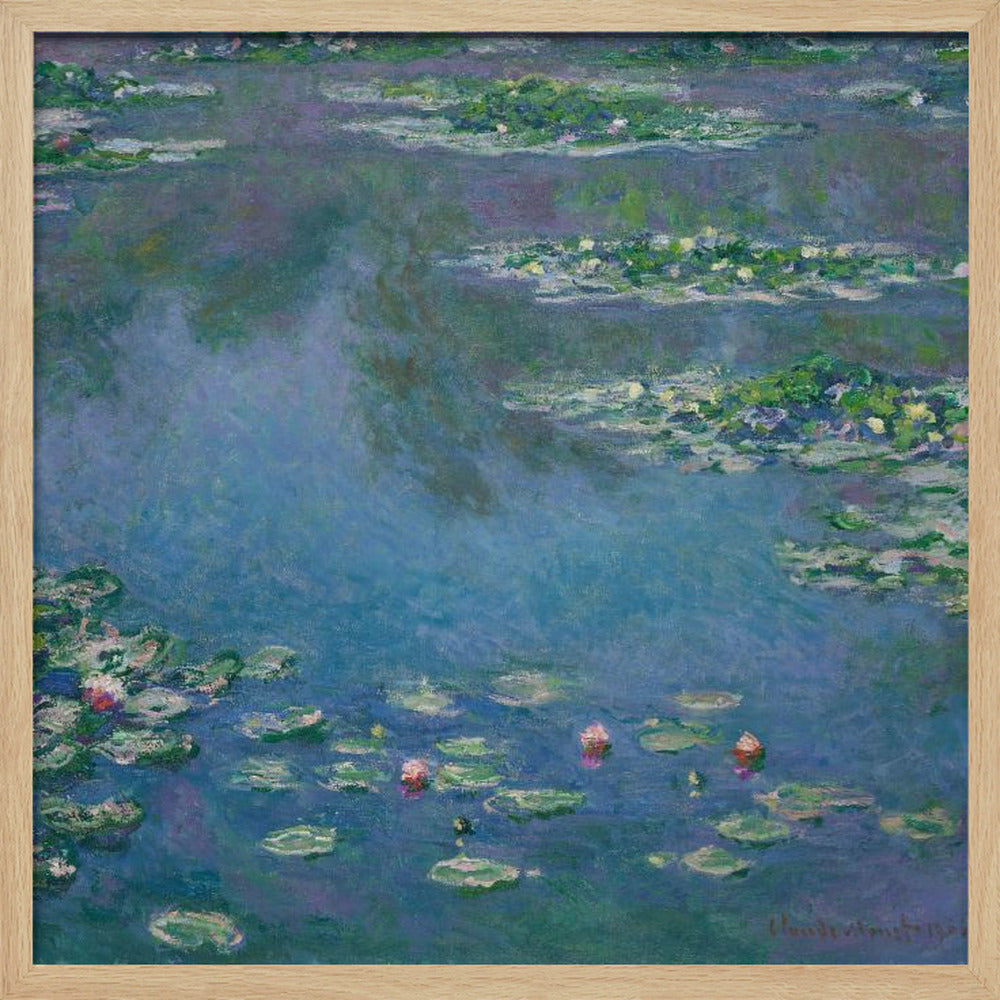 Water Lilies - Poster / Art Print