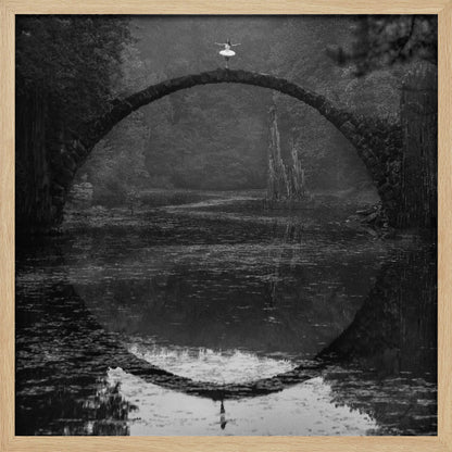 Ring - Poster / Art Print