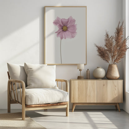 Cosmos flower - Poster / Art Print