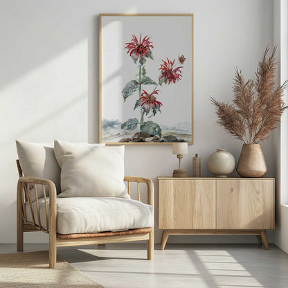 A Red Bergamot In a Landscape - Poster / Art Print