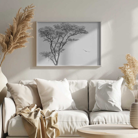 Black and white photograph of a large tree with a single bird flying against a light sky, nature wall art.