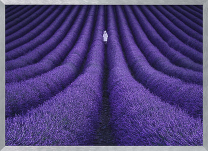 SHE - Poster / Art Print