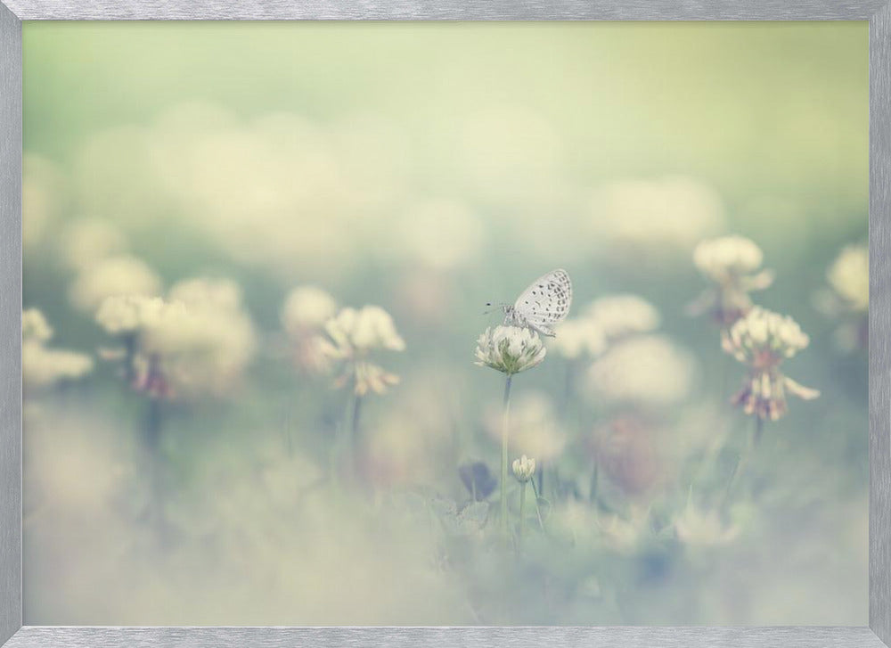 small world - Poster / Art Print